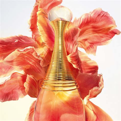 dior jadore 2020|Dior eau de parfum.